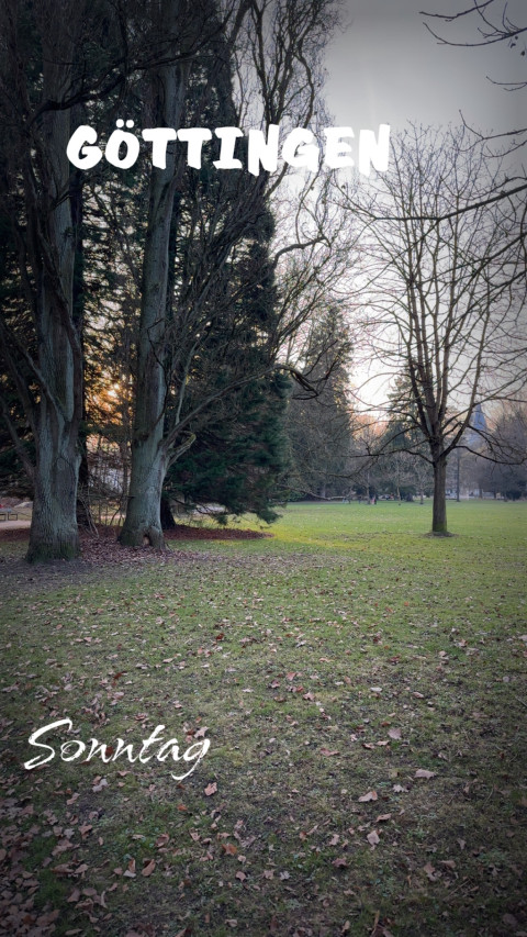 Minigolf-Sportanlage Schillerwiesen am 8. März 2026