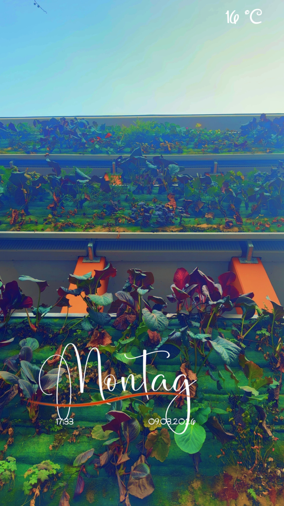 ZAK am 9. März 2026