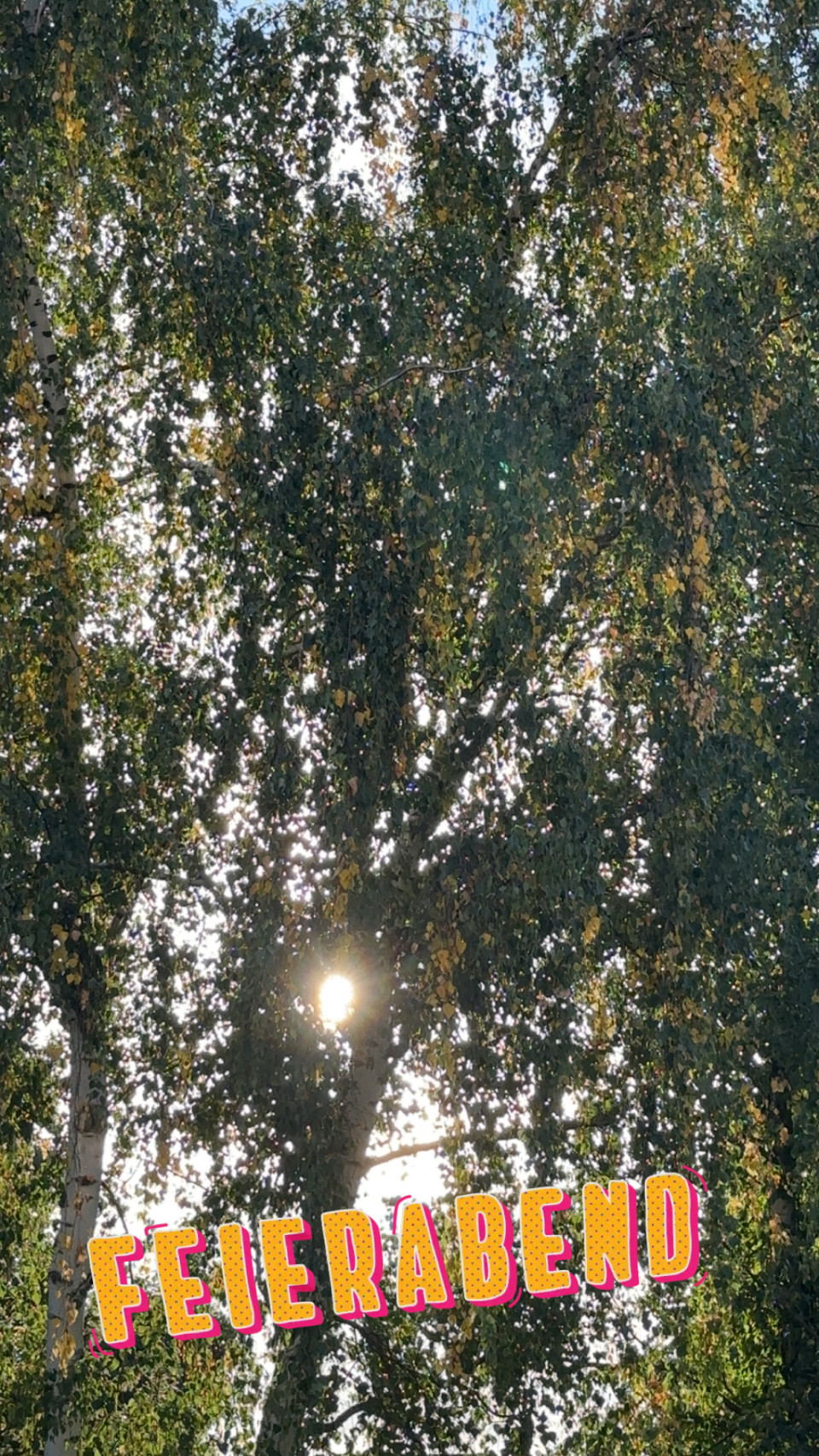 Geismar, Göttingen am 11. September 2025