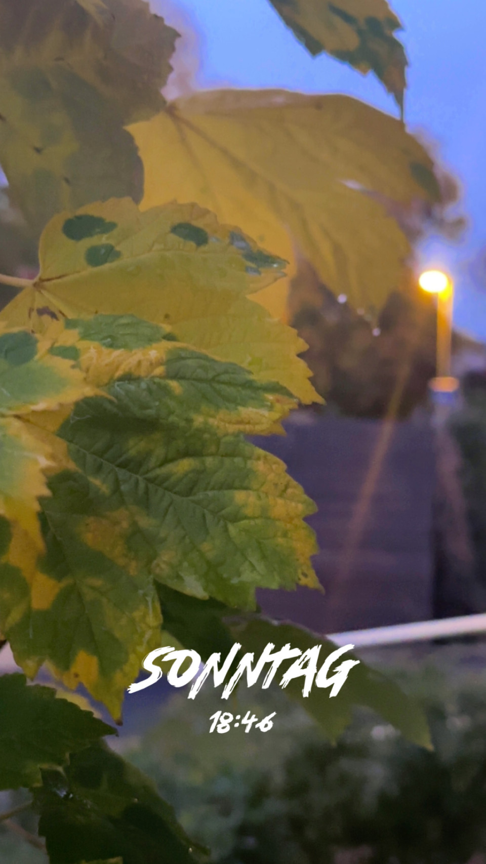 Geismar, Göttingen am 14. Oktober 2025