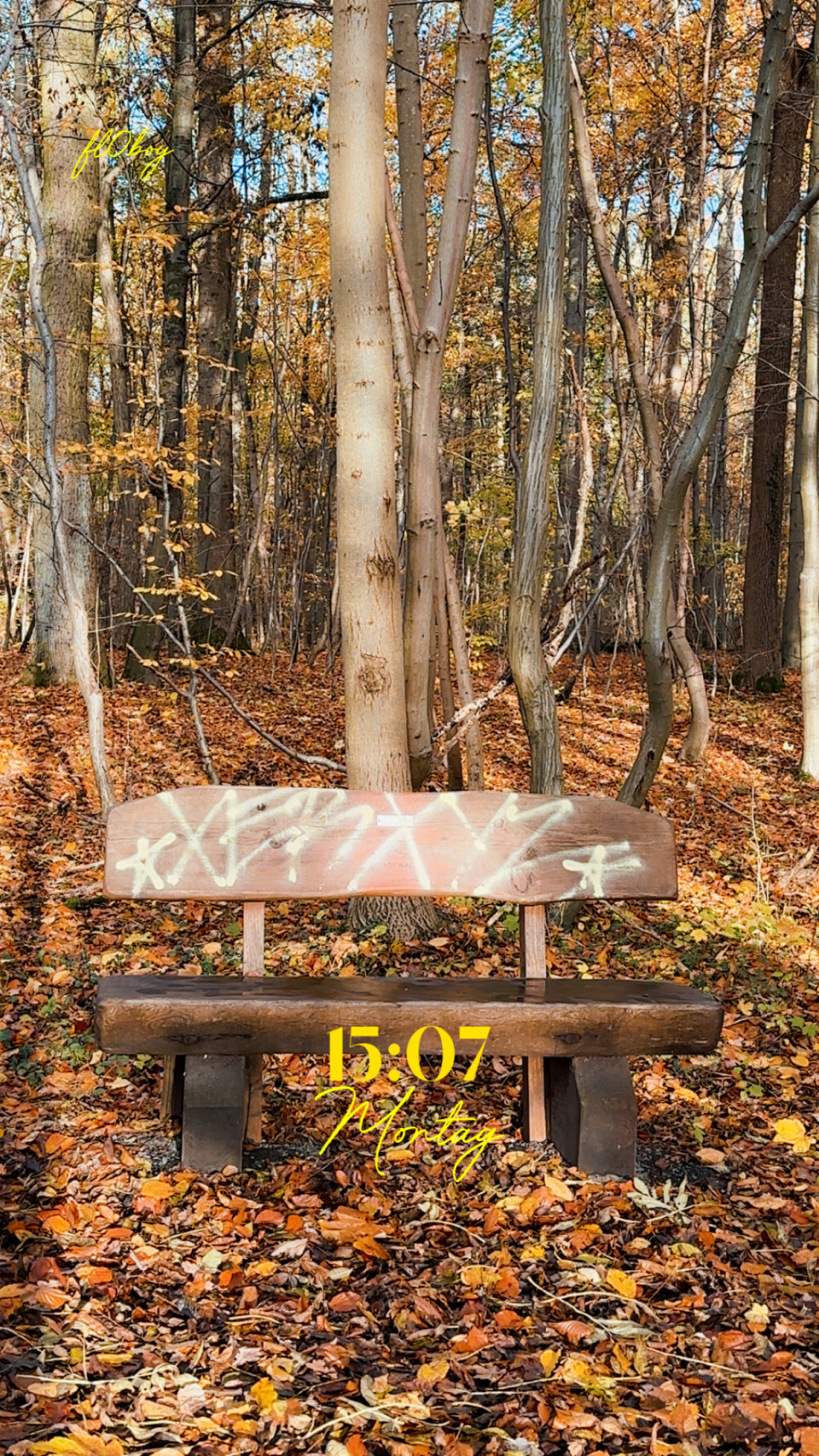 Borheckstraße am 3. November 2025