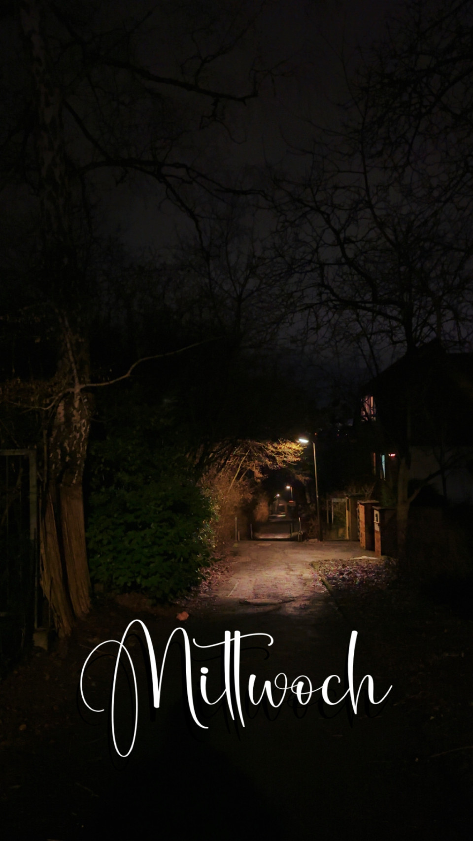 Gustav-Freytag-Weg am 11. Februar 2026