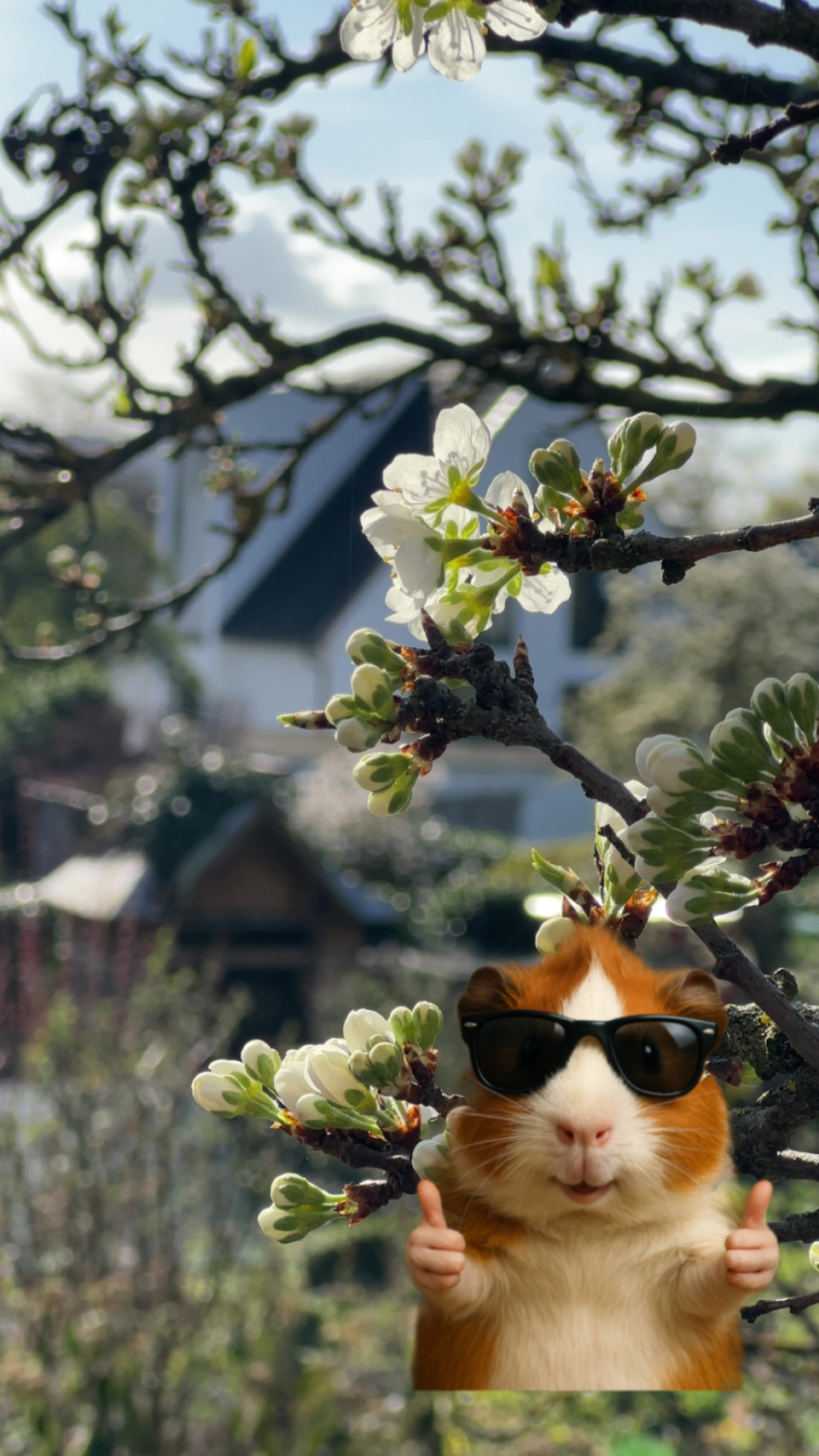 Tündern am 6. April 2026