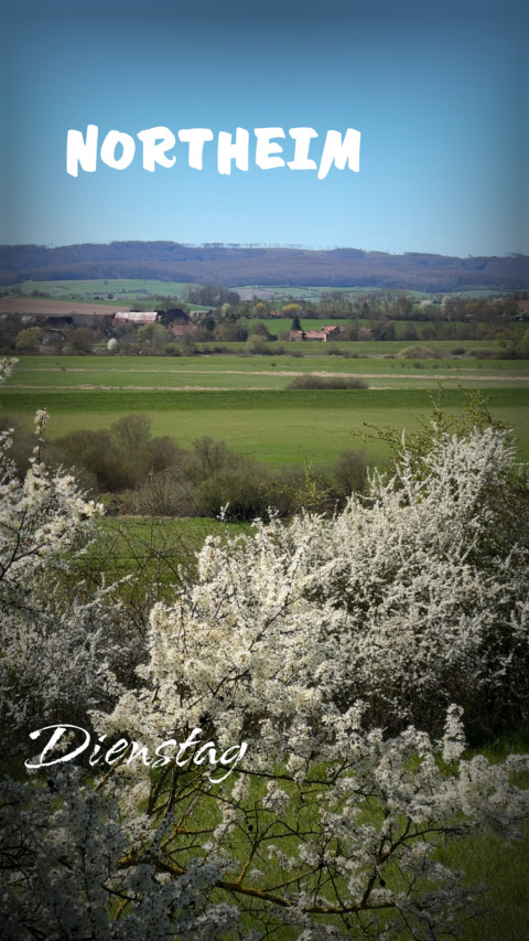 Vogelbeck am 7. April 2026
