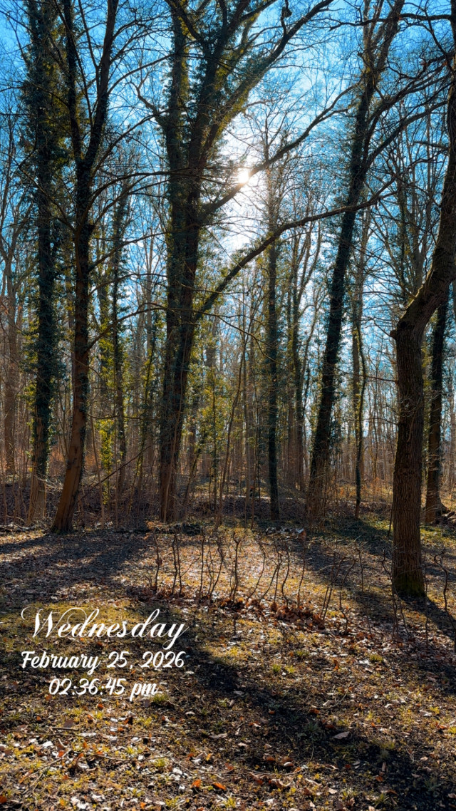 Ruprechtweg / Weiße Wand am 25. Februar 2026