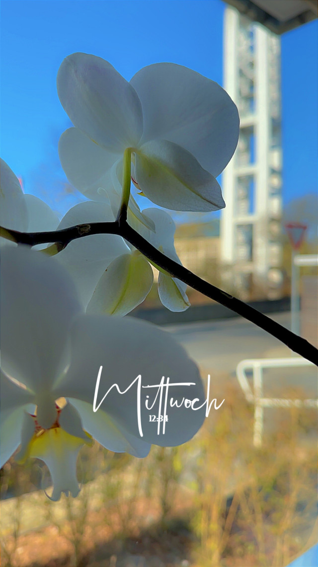 Geismar am 4. März 2026