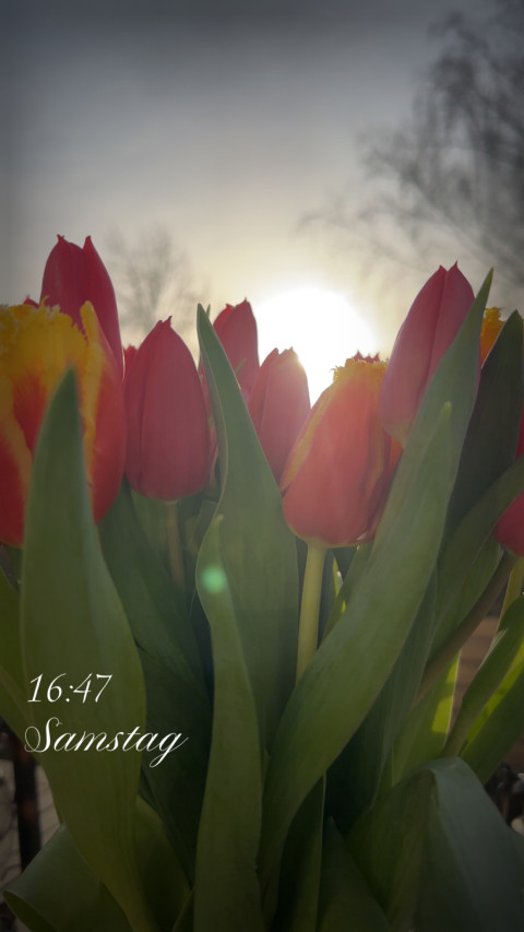 Geismar am 7. März 2026