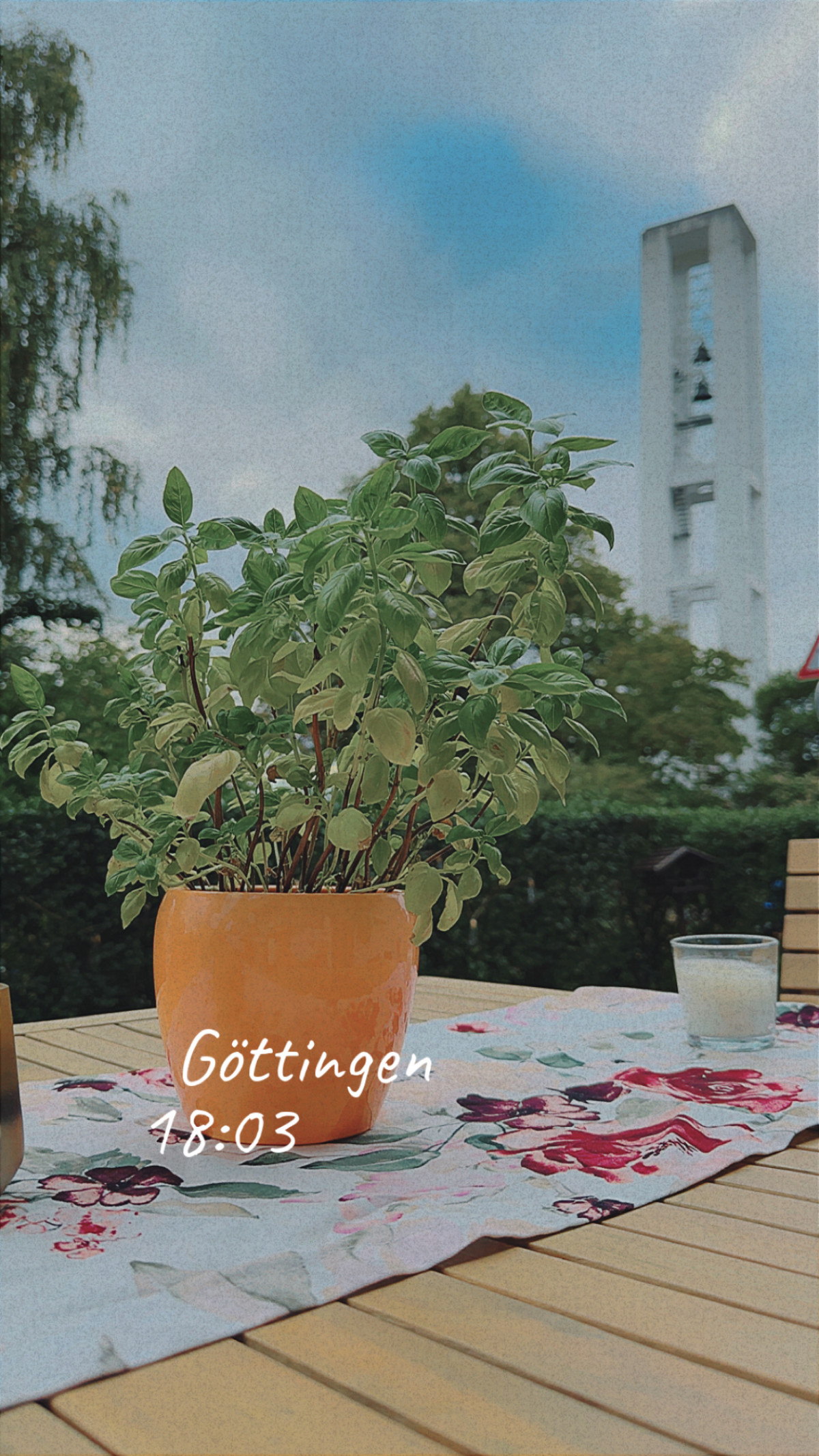 Geismar, Göttingen am 31. August 2025