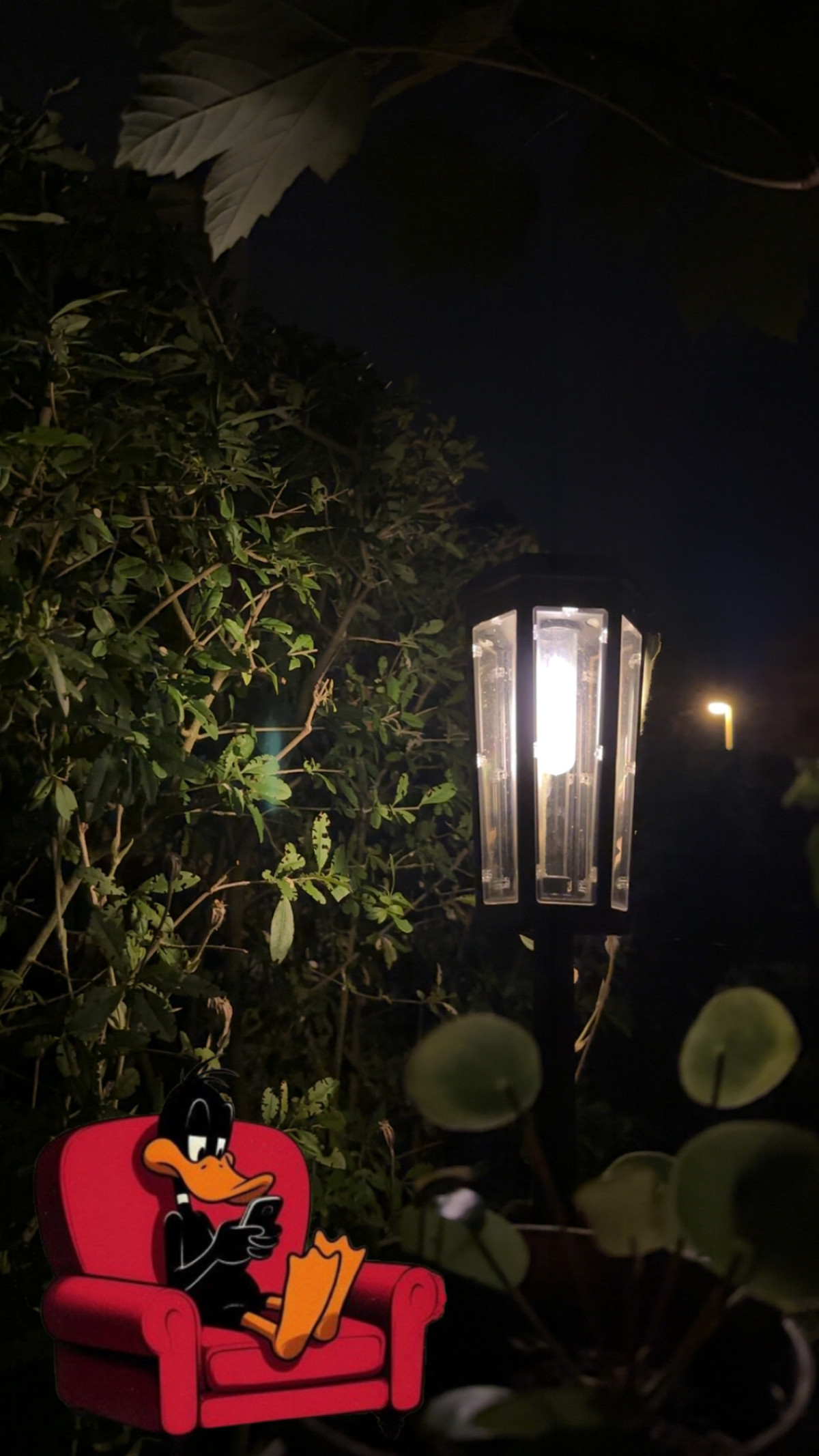 Geismar, Göttingen am 8. September 2025