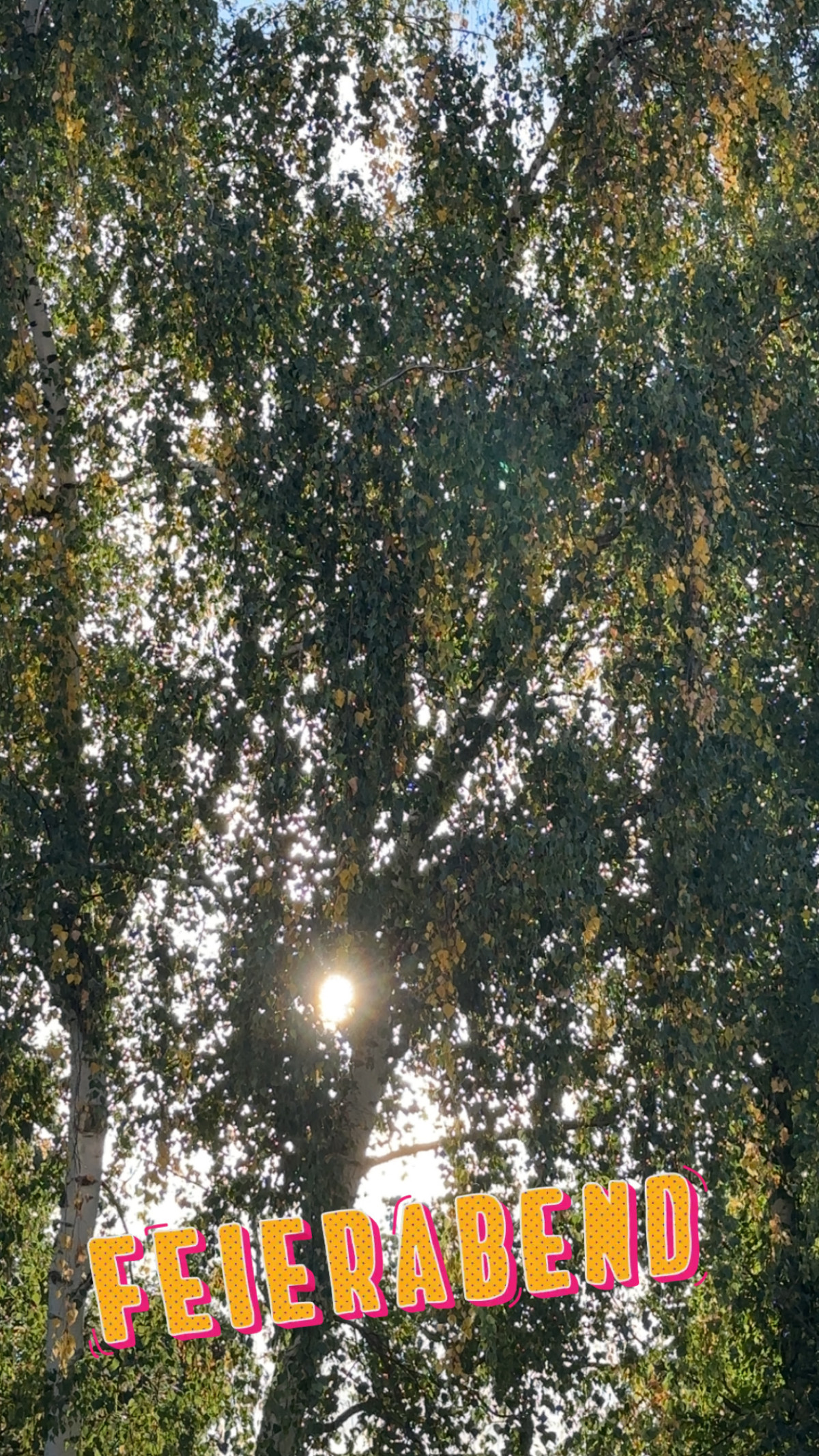 Geismar, Göttingen am 11. September 2025