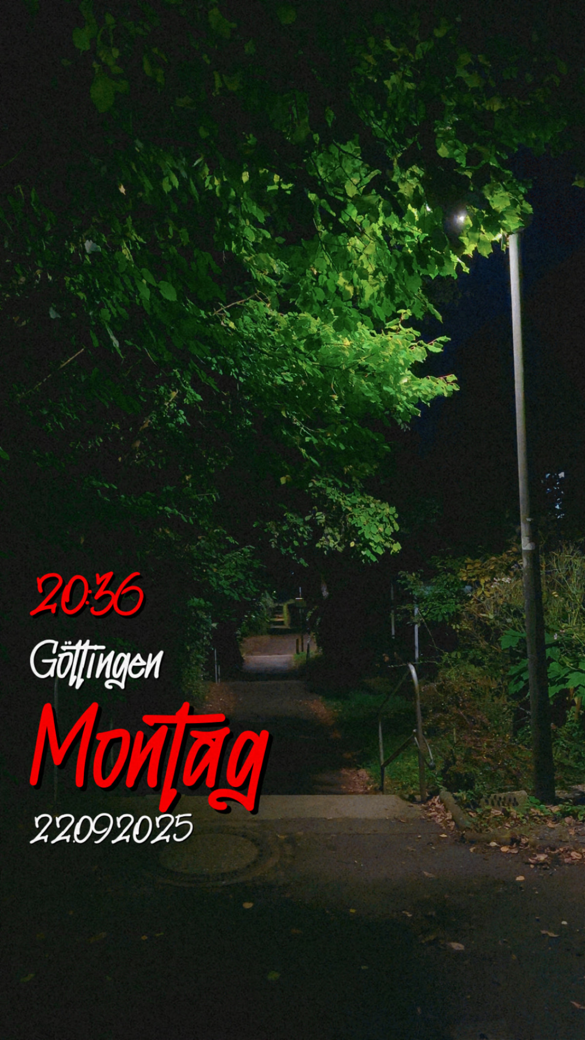 Gustav-Freytag-Weg, Oststadt, Göttingen am 22. September 2025