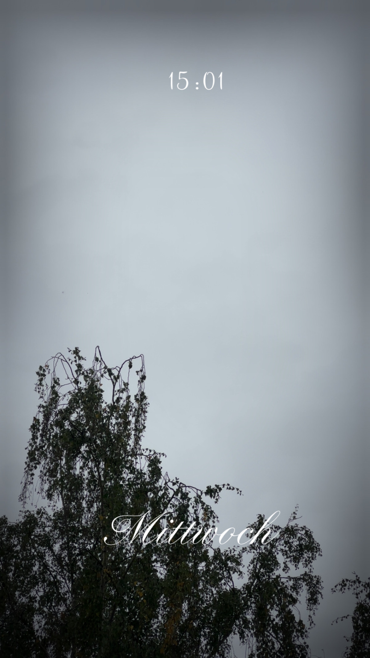 Geismar, Göttingen am 8. Oktober 2025