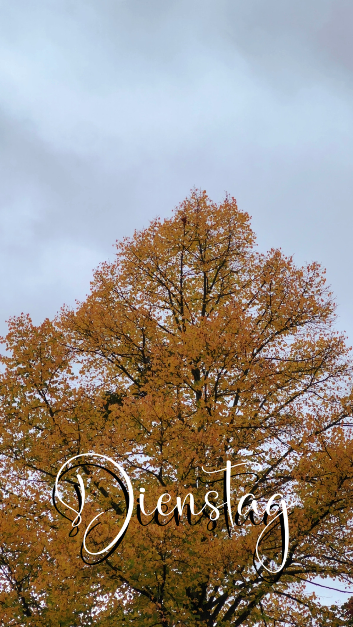 Geismar, Göttingen am 14. Oktober 2025