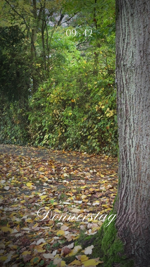 Charlottenburger Straße, Geismar, Göttingen am 16. Oktober 2025