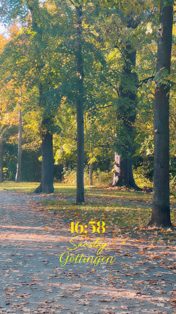 Alter Botanischer Garten, Innenstadt, Göttingen am 18. Oktober 2025