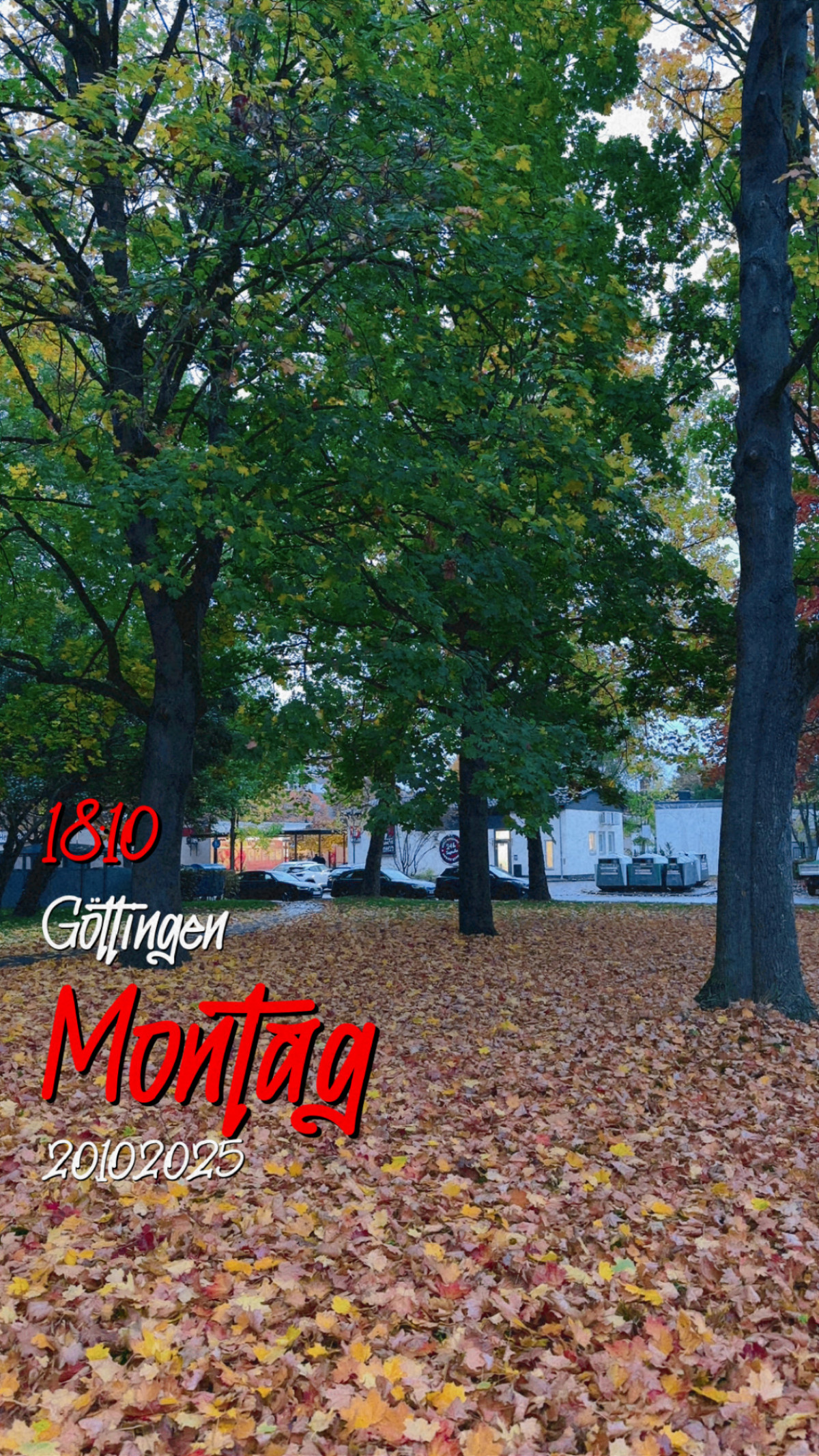 Weststadt, Göttingen am 30. Oktober 2025