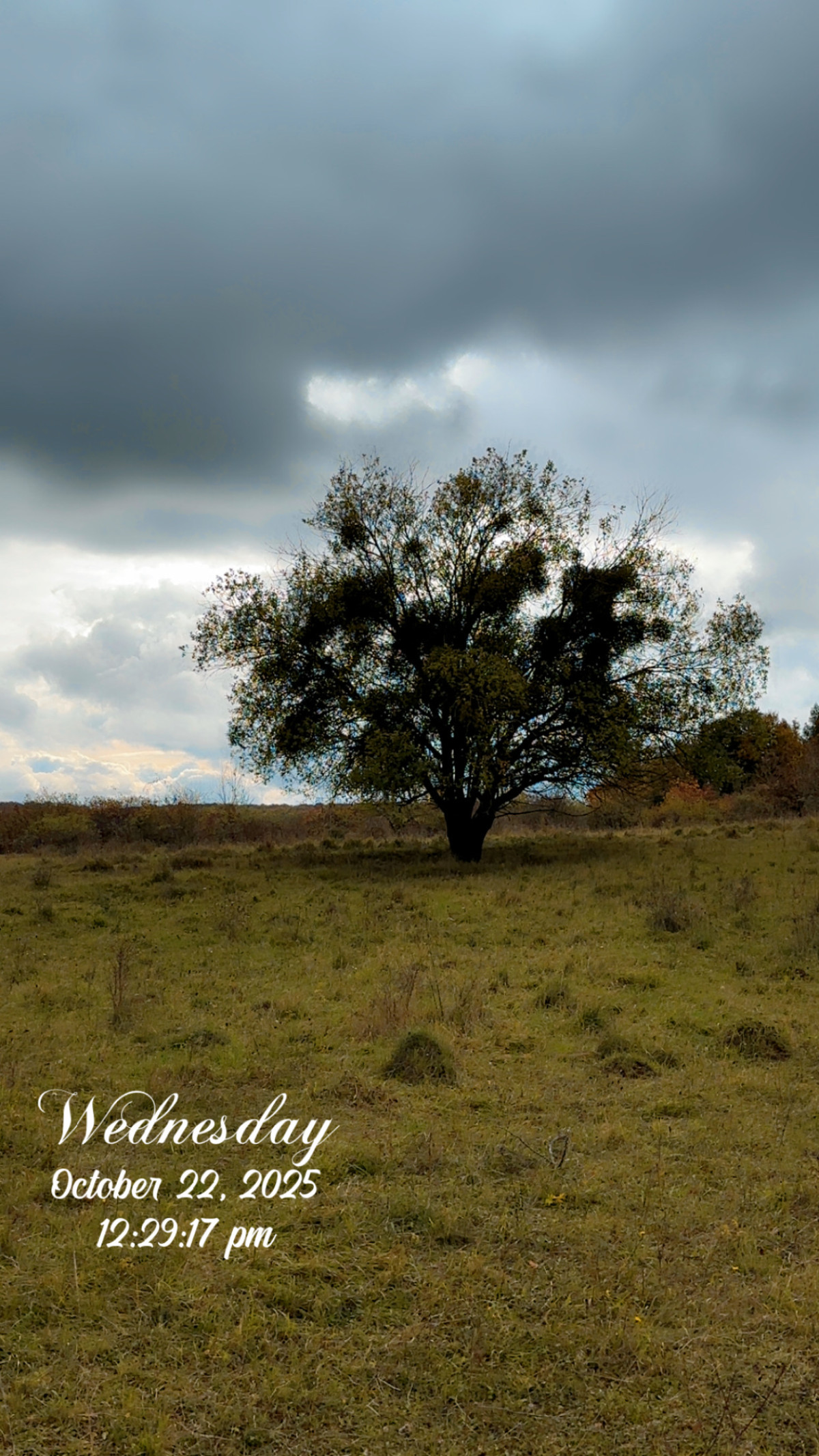 Herberhausen, Göttingen am 22. Oktober 2025