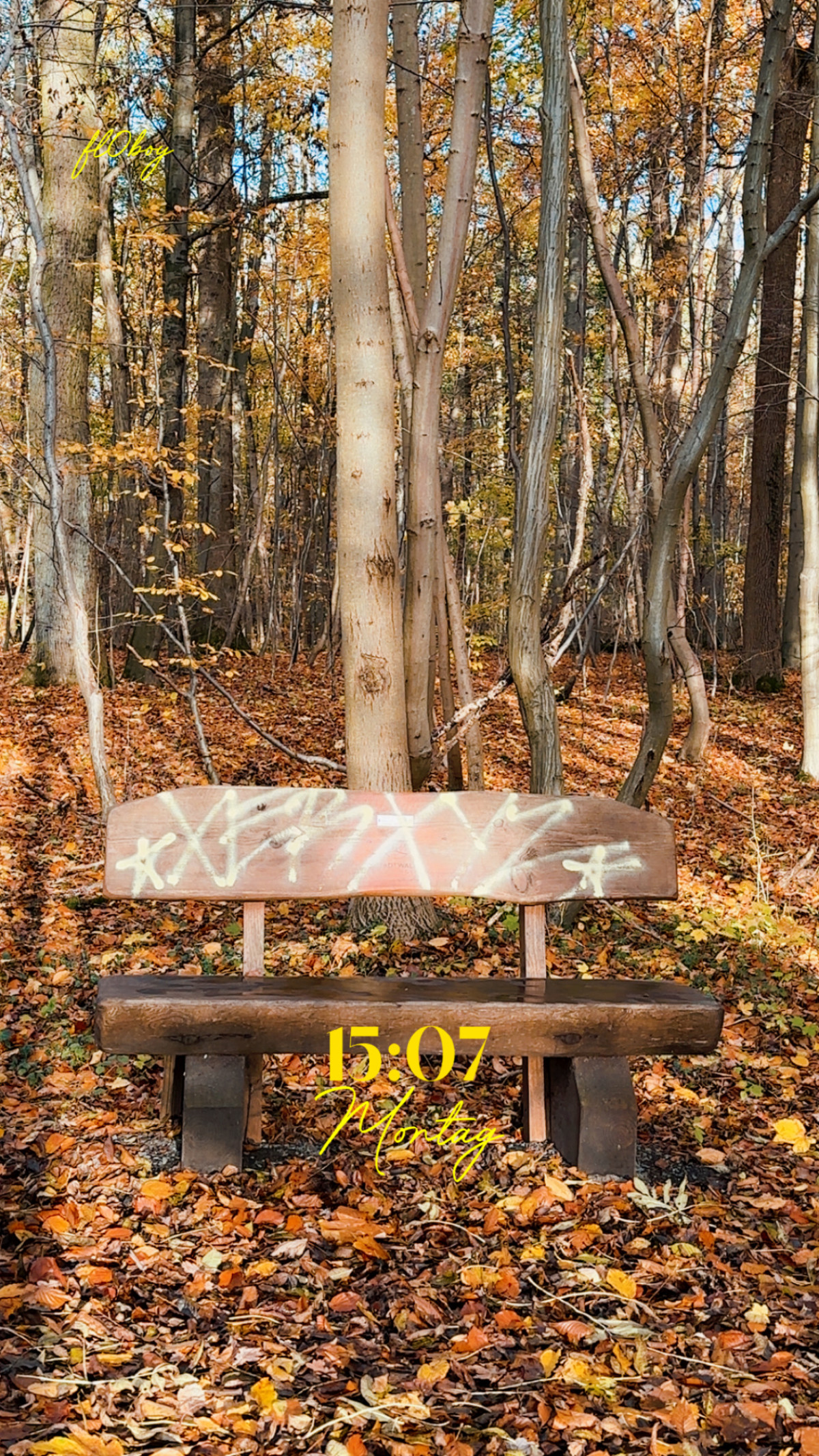 Borheckstraße am 3. November 2025