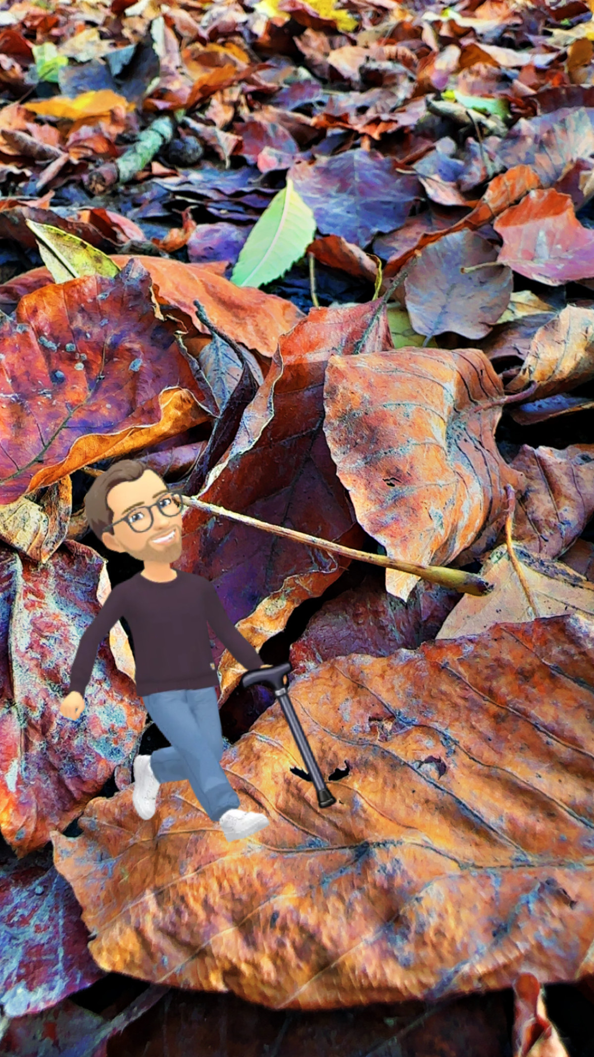 Kindergarten aus Eigeninitiative am 5. November 2025