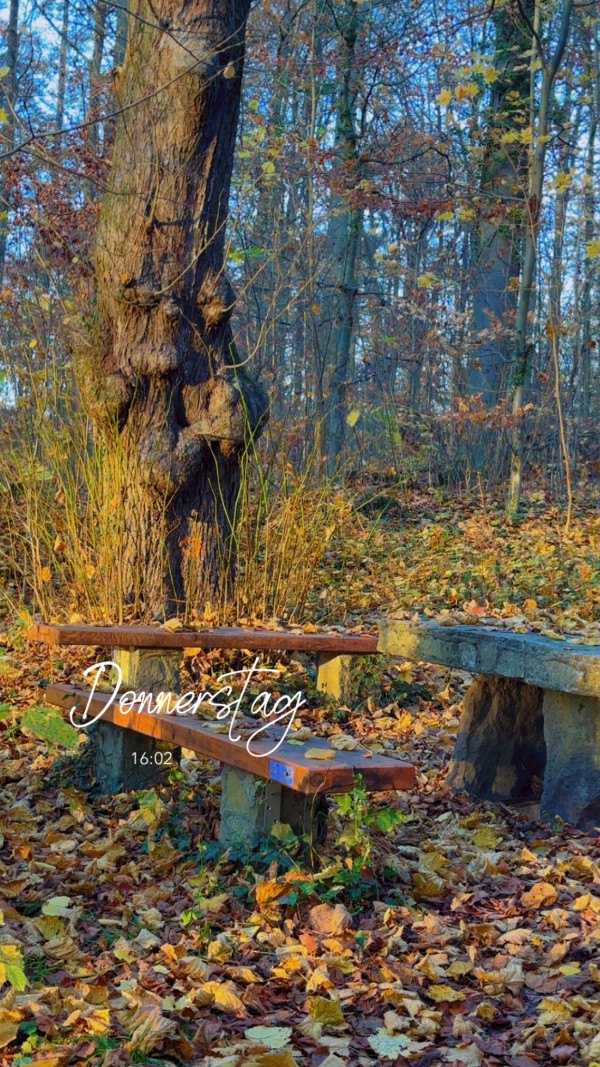 Merkelstieg am 6. November 2025