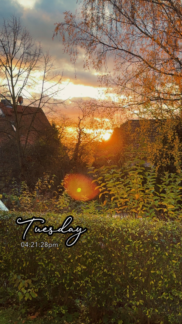 Geismar am 11. November 2025