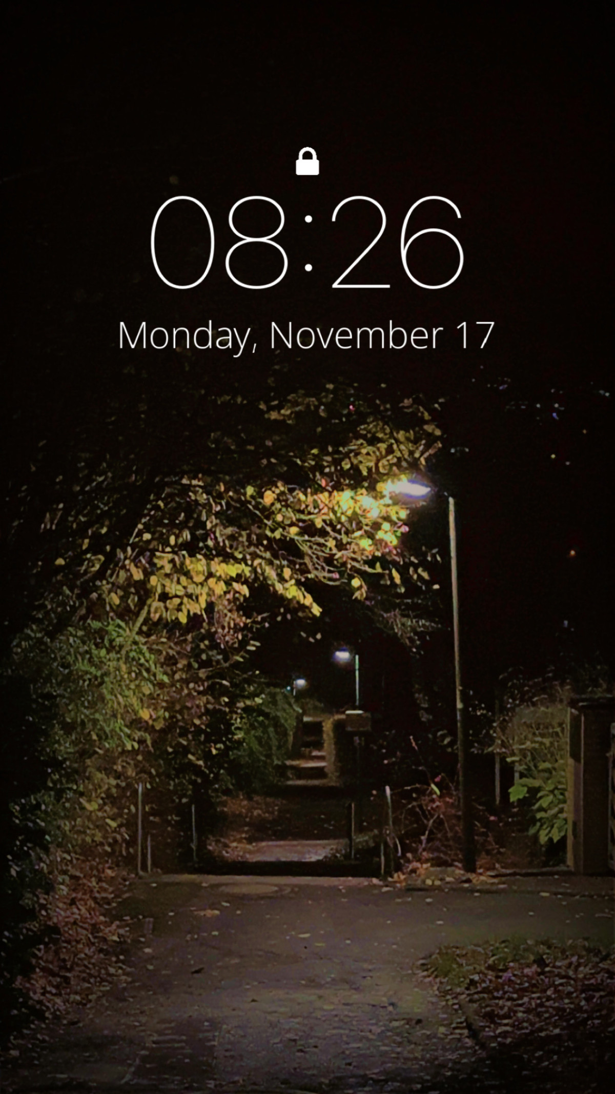 Gustav-Freytag-Weg am 17. November 2025