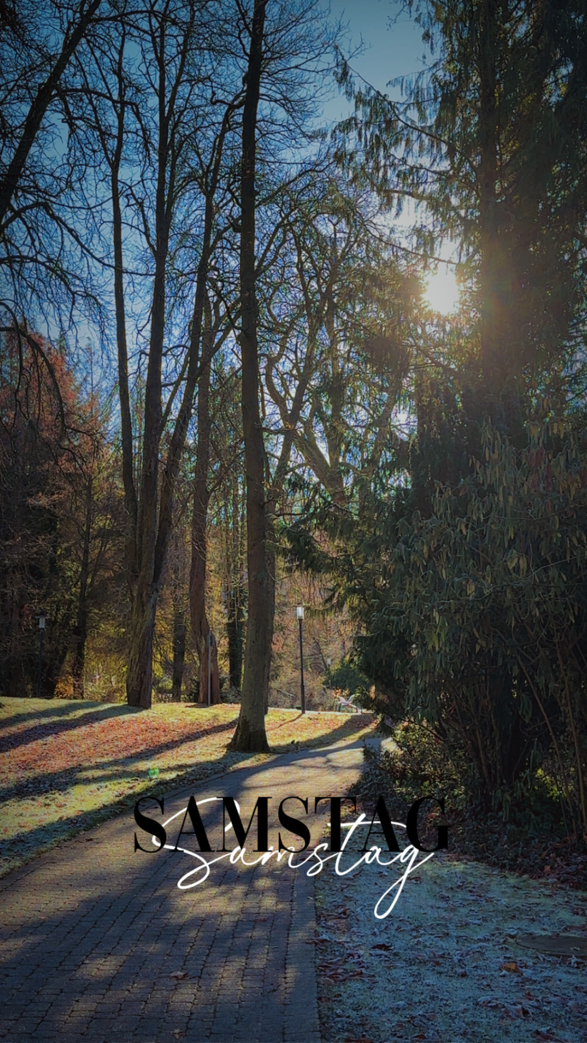 Wandelhalle Reinhardshausen am 22. November 2025