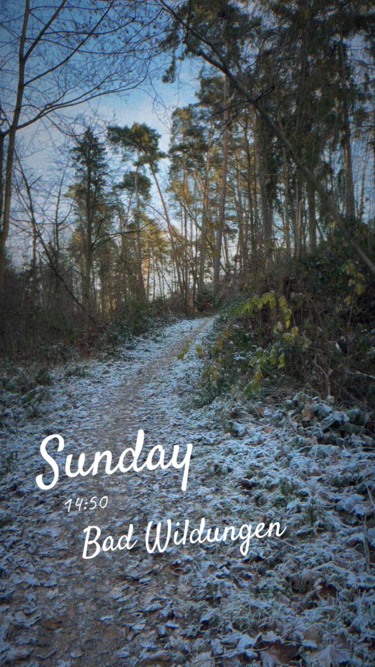 Bad Wildungen am 23. November 2025