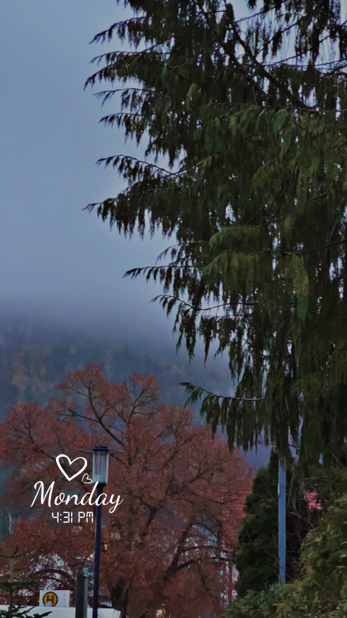 Sparkasse; Waldeck-Frankenberger Bank am 24. November 2025