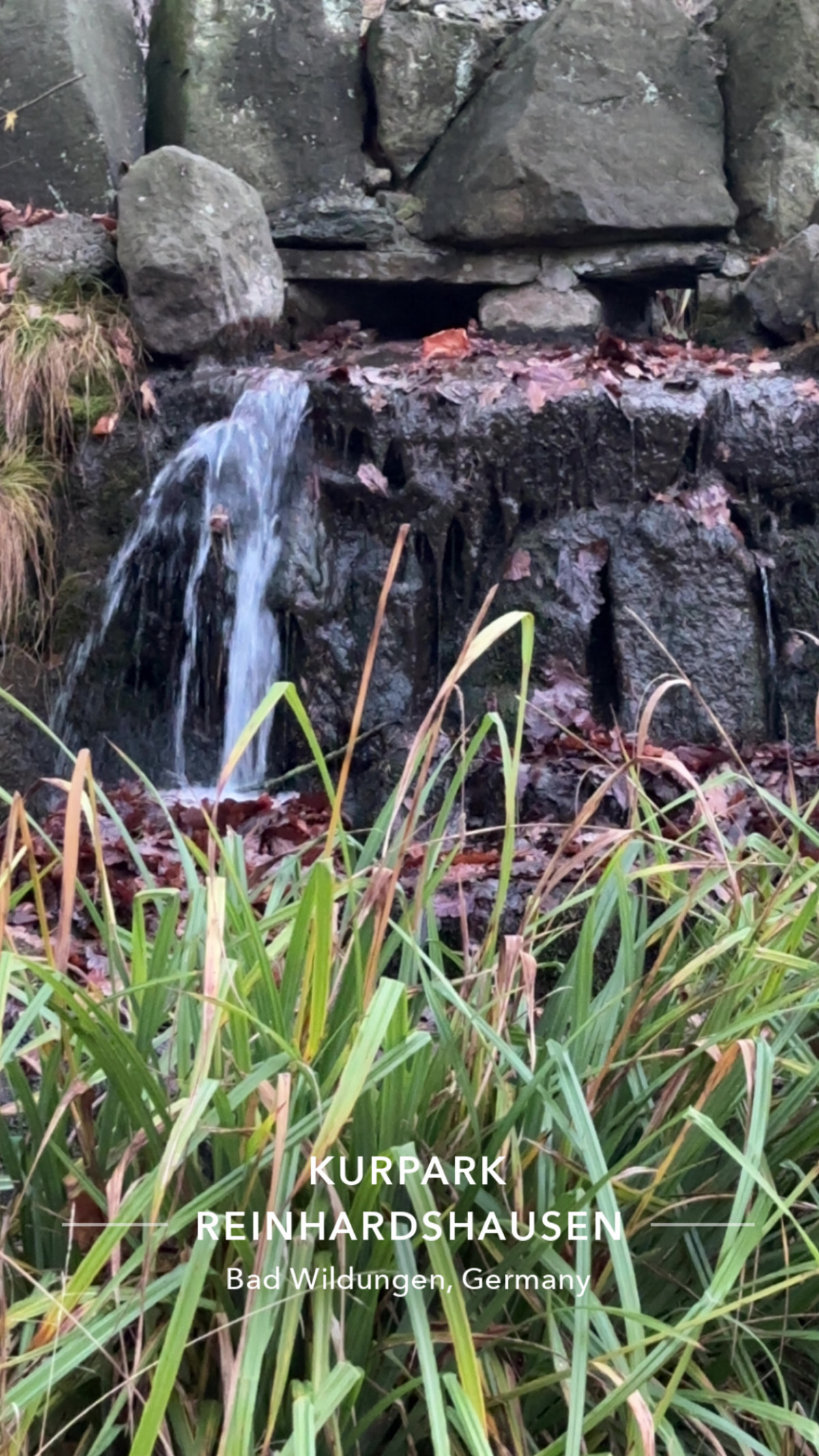 R 1 am 25. November 2025