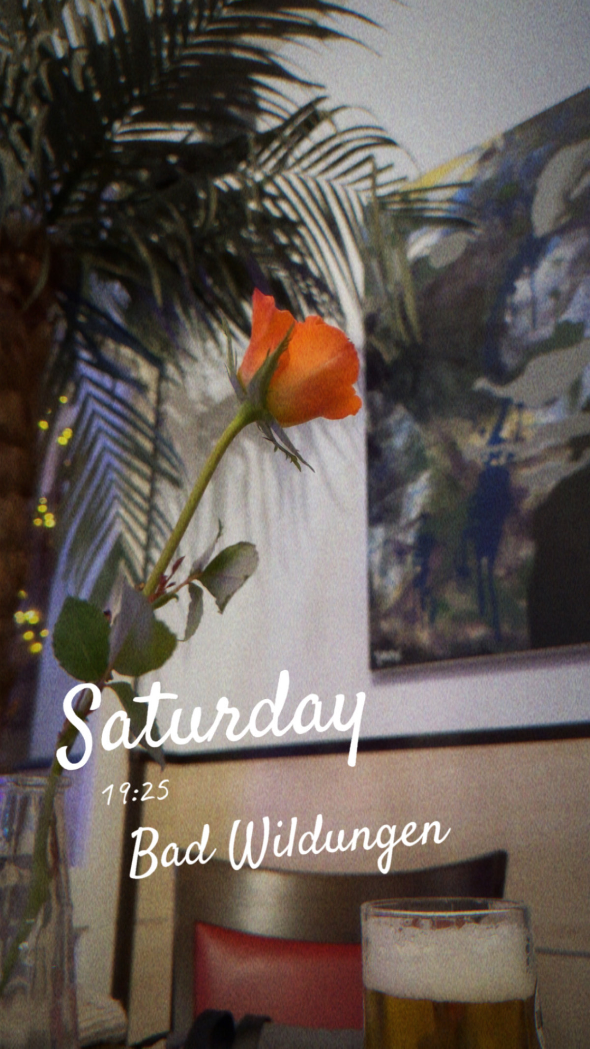 Havana - Restaurant & Lounge am 29. November 2025