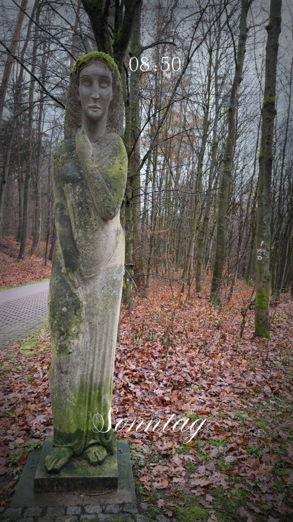 Schreitende am 30. November 2025