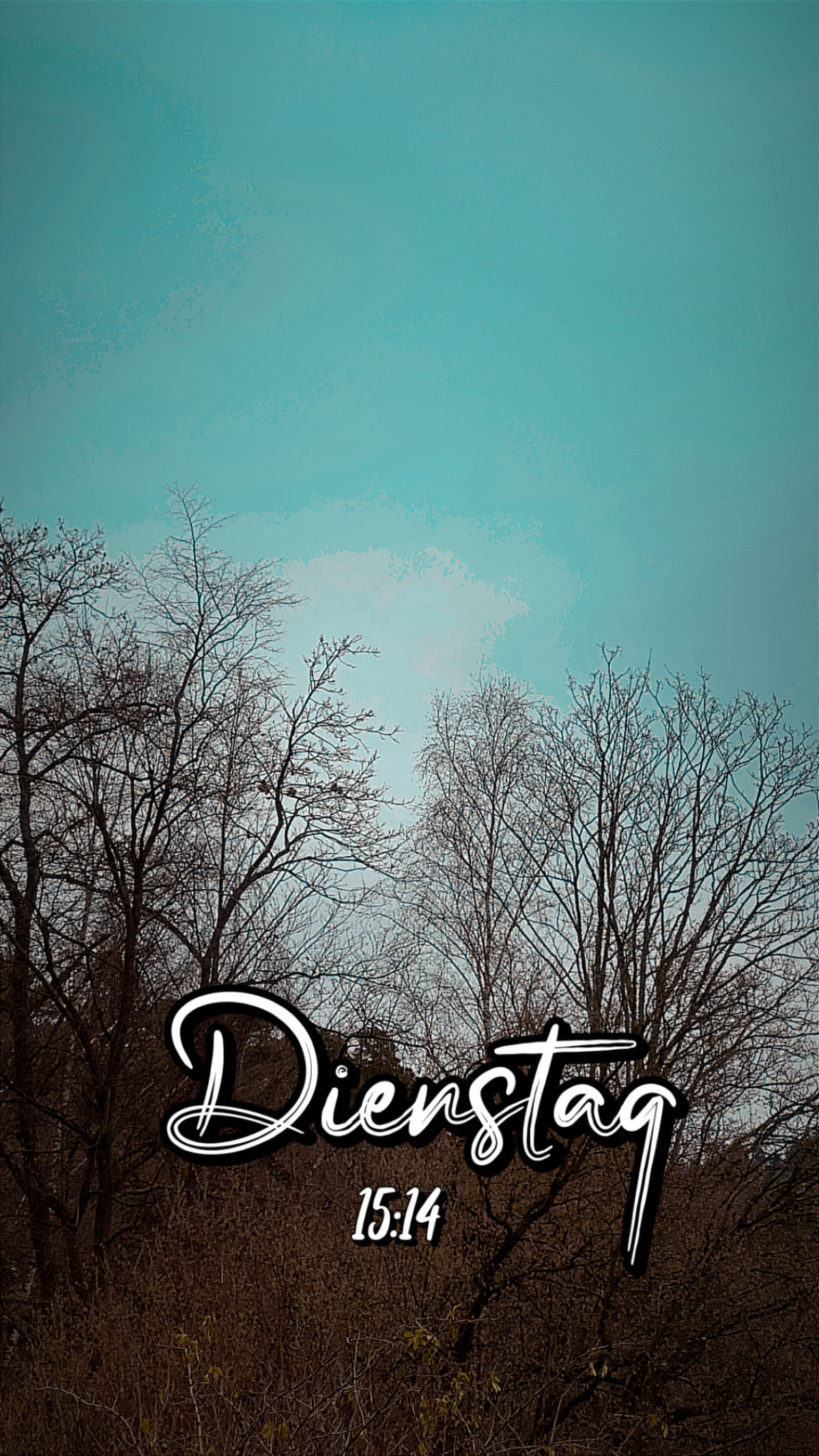 Reinhardshausen am 2. Dezember 2025