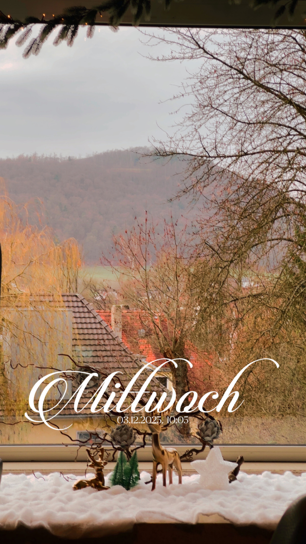 Reha-Klinik Reinhardsquelle am 3. Dezember 2025