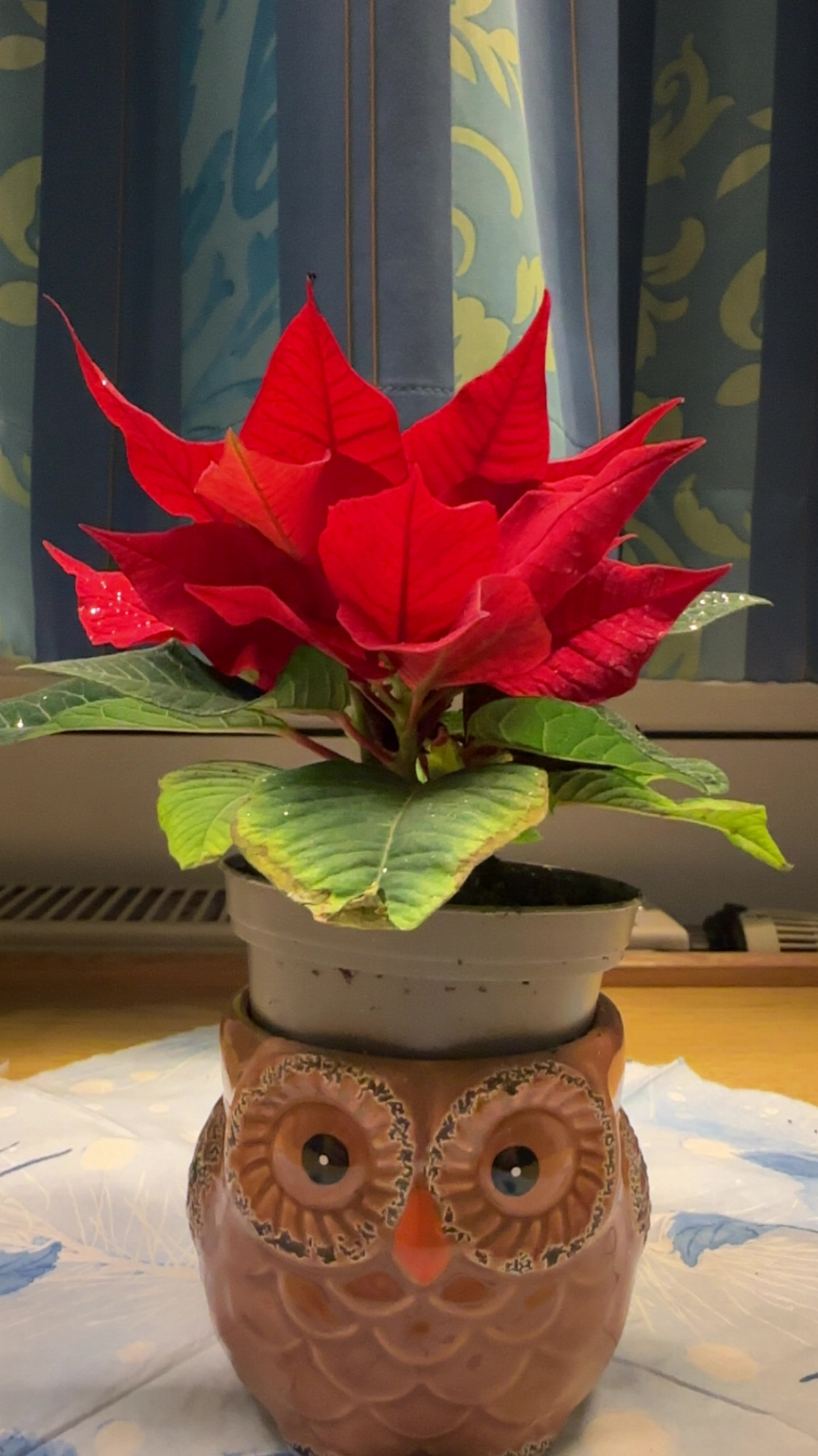 Reha-Klinik Reinhardsquelle am 4. Dezember 2025