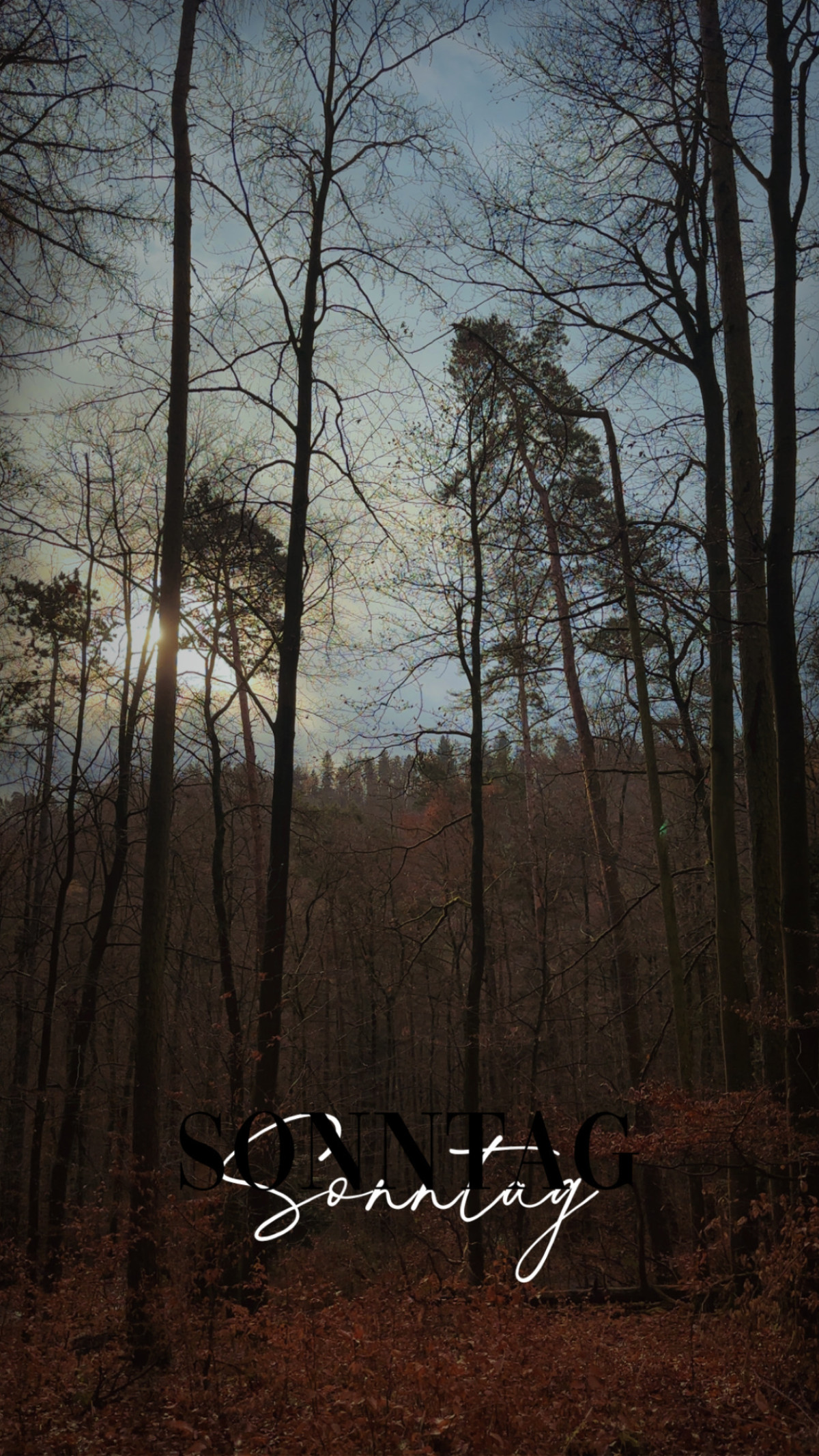 W4 am 7. Dezember 2025