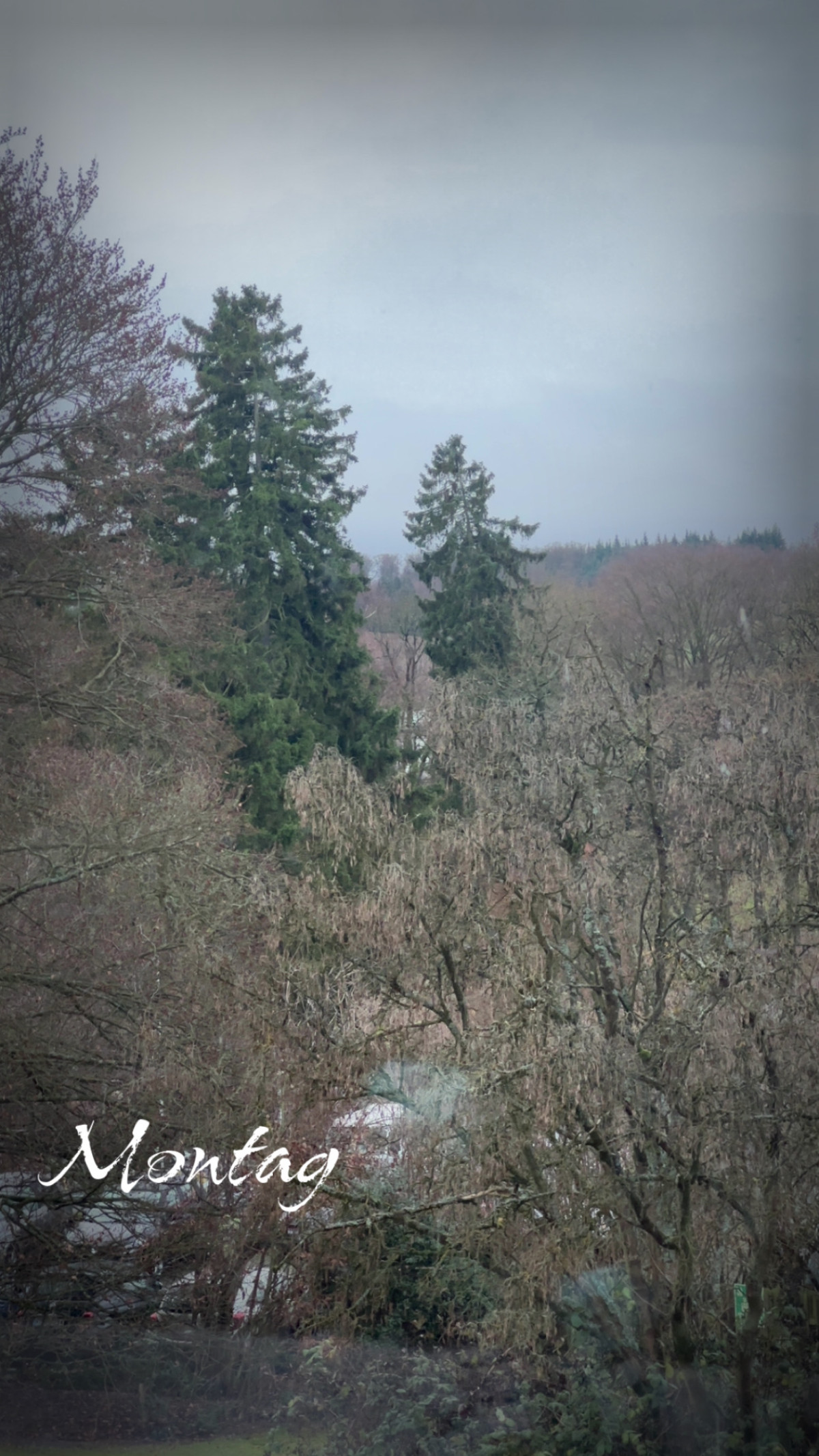 Reha-Klinik Reinhardsquelle am 8. Dezember 2025