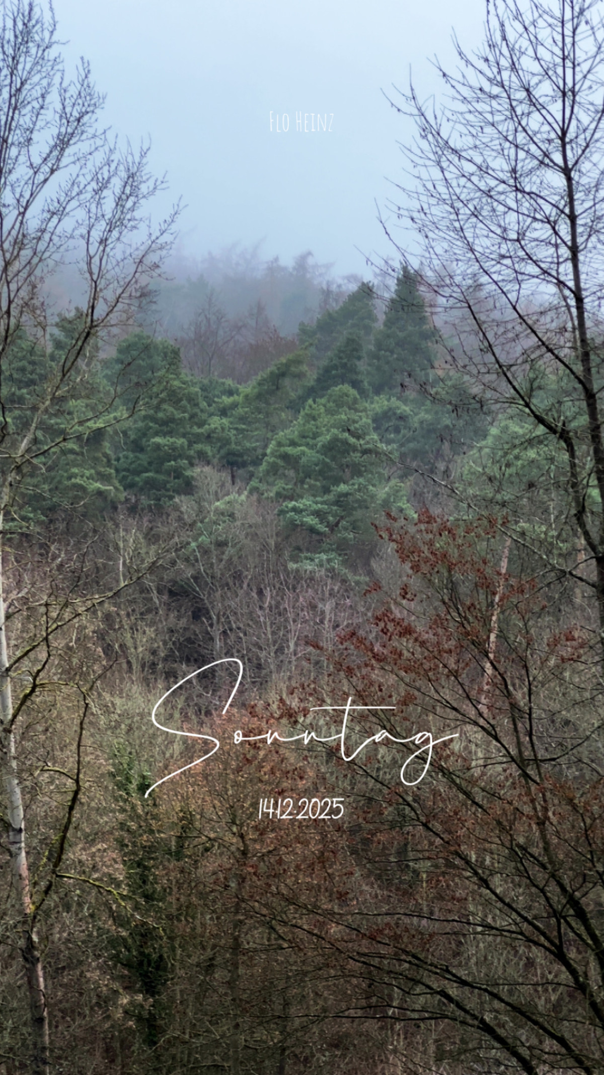 An der Georg-Viktor-Quelle am 14. Dezember 2025