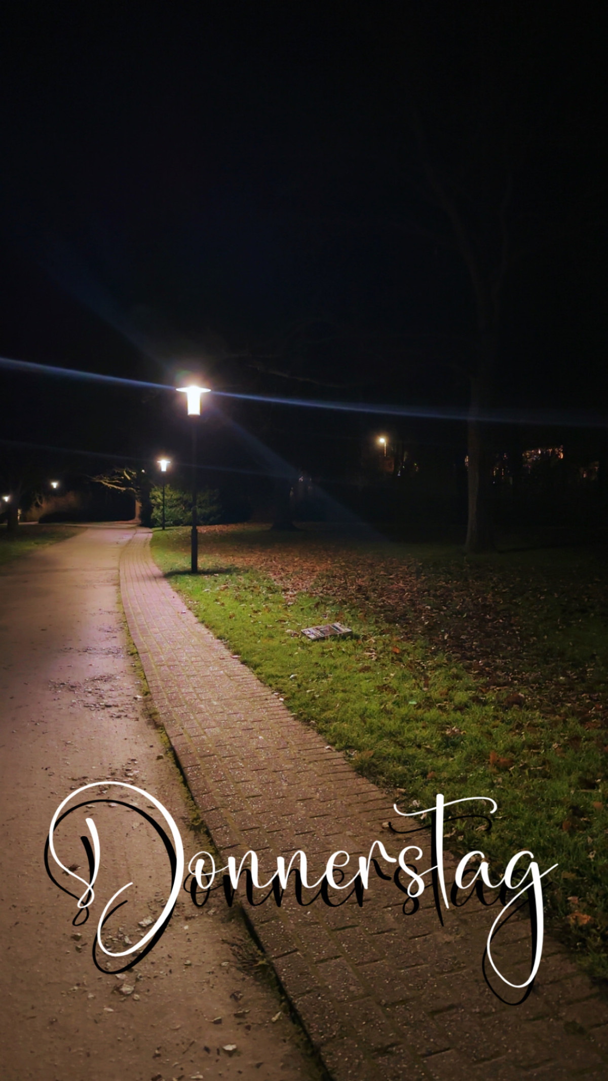 Berliner Bär am 18. Dezember 2025