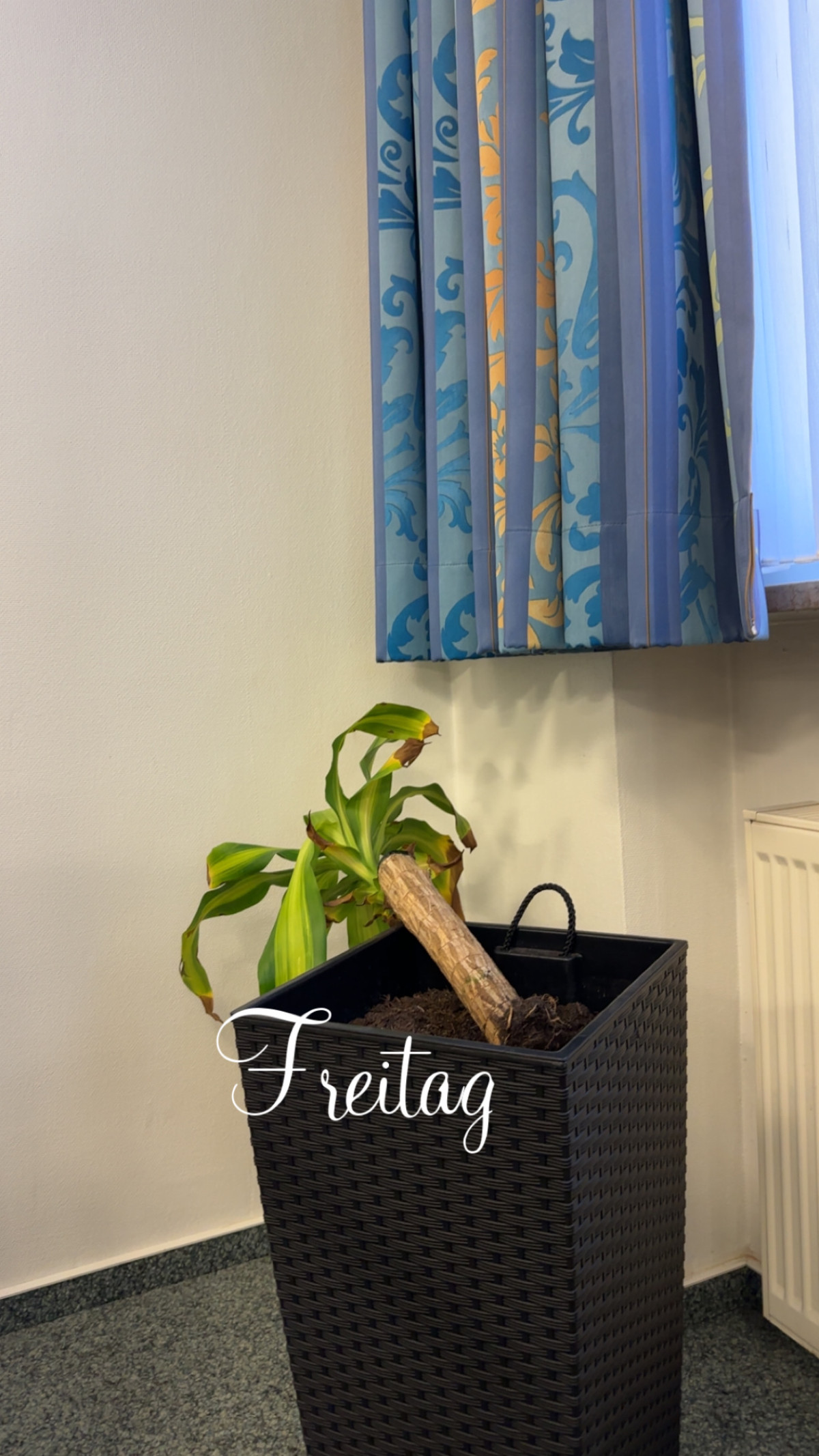 Reha-Klinik Reinhardsquelle am 19. Dezember 2025