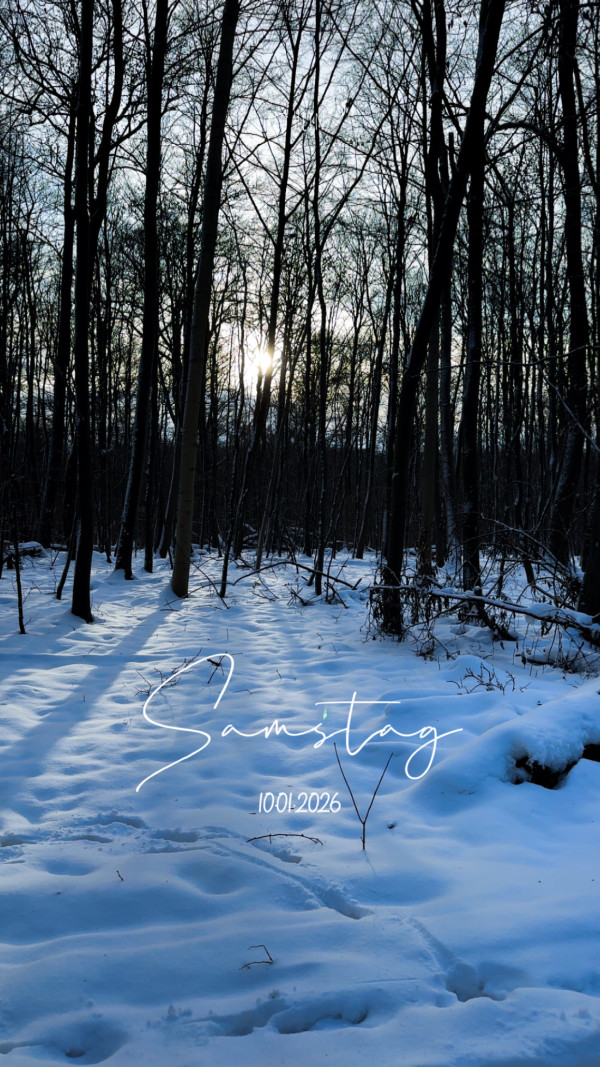 Saubergstraße am 10. Januar 2026