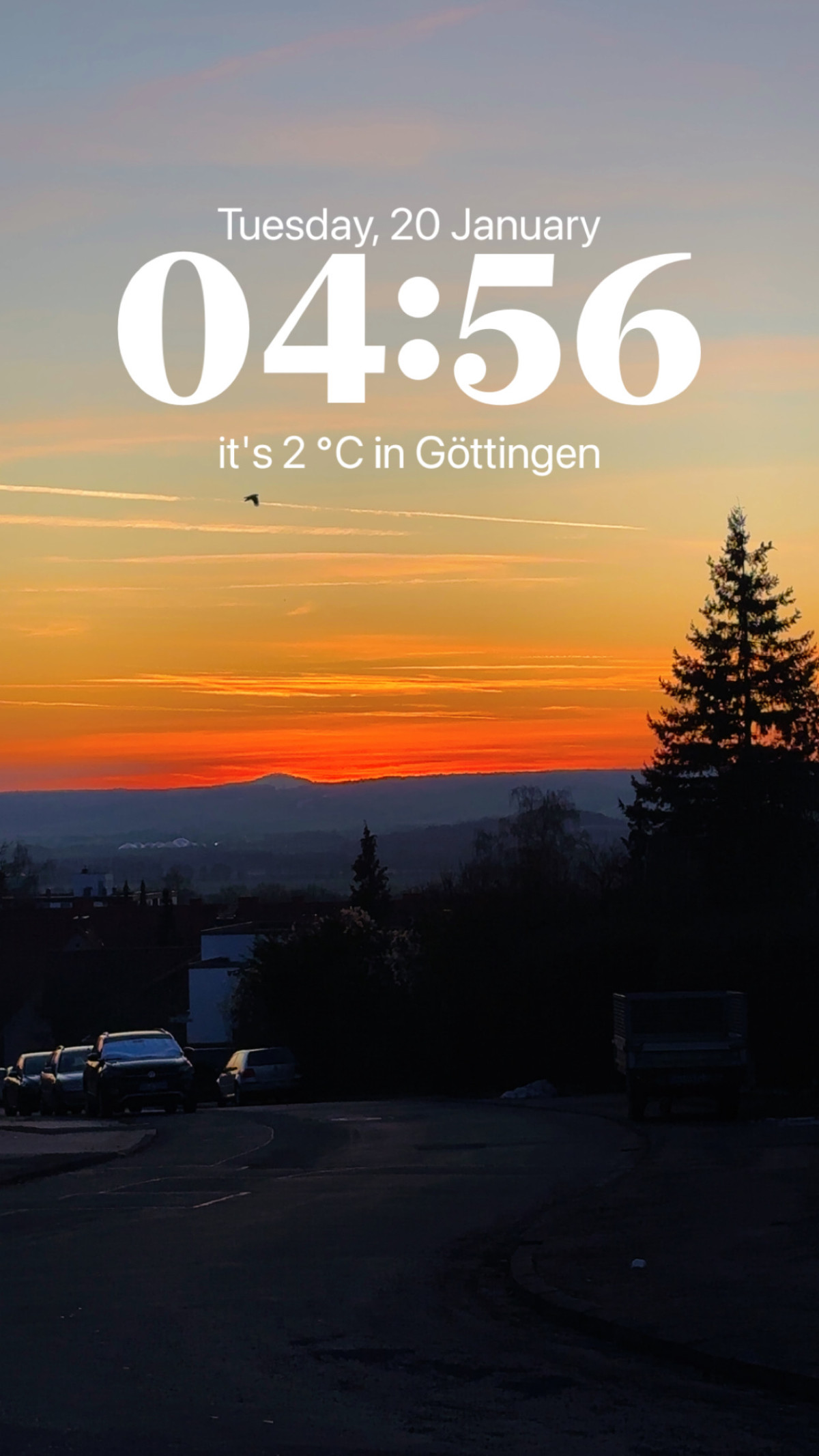 Gartenpflege Grundmann am 20. Januar 2026