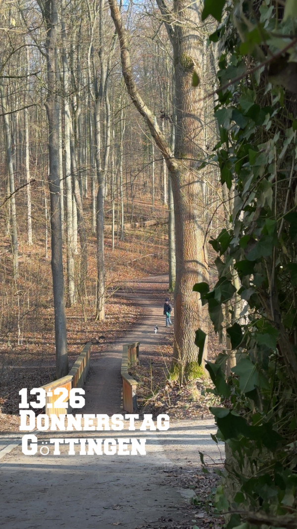 Südstadt am 22. Januar 2026