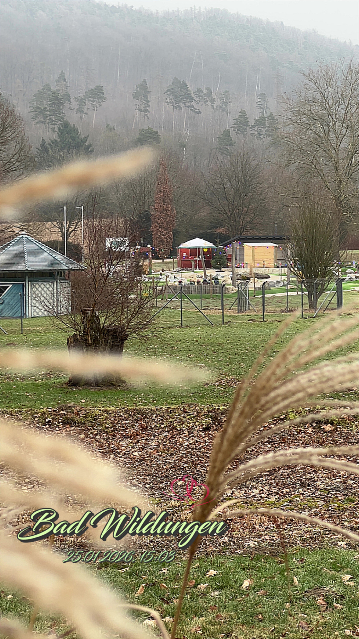 Reinhardshausen am 25. Januar 2026