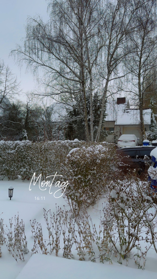 Geismar am 26. Januar 2026