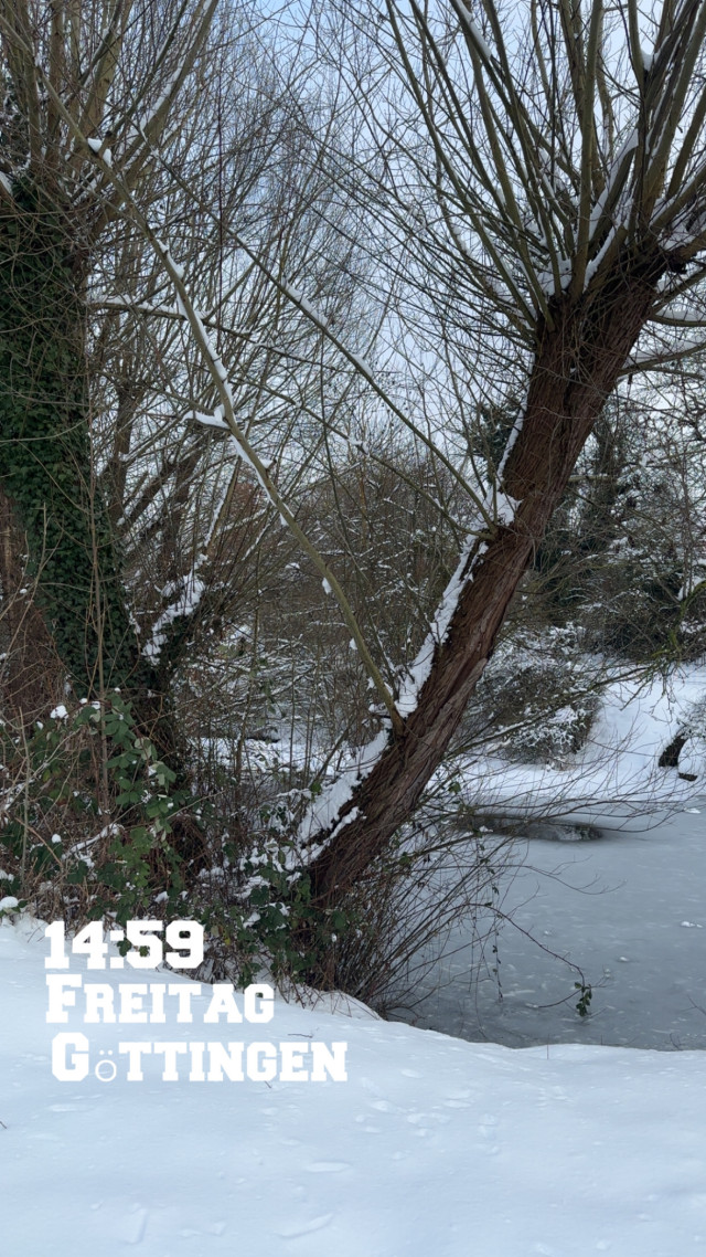 Geismar am 30. Januar 2026