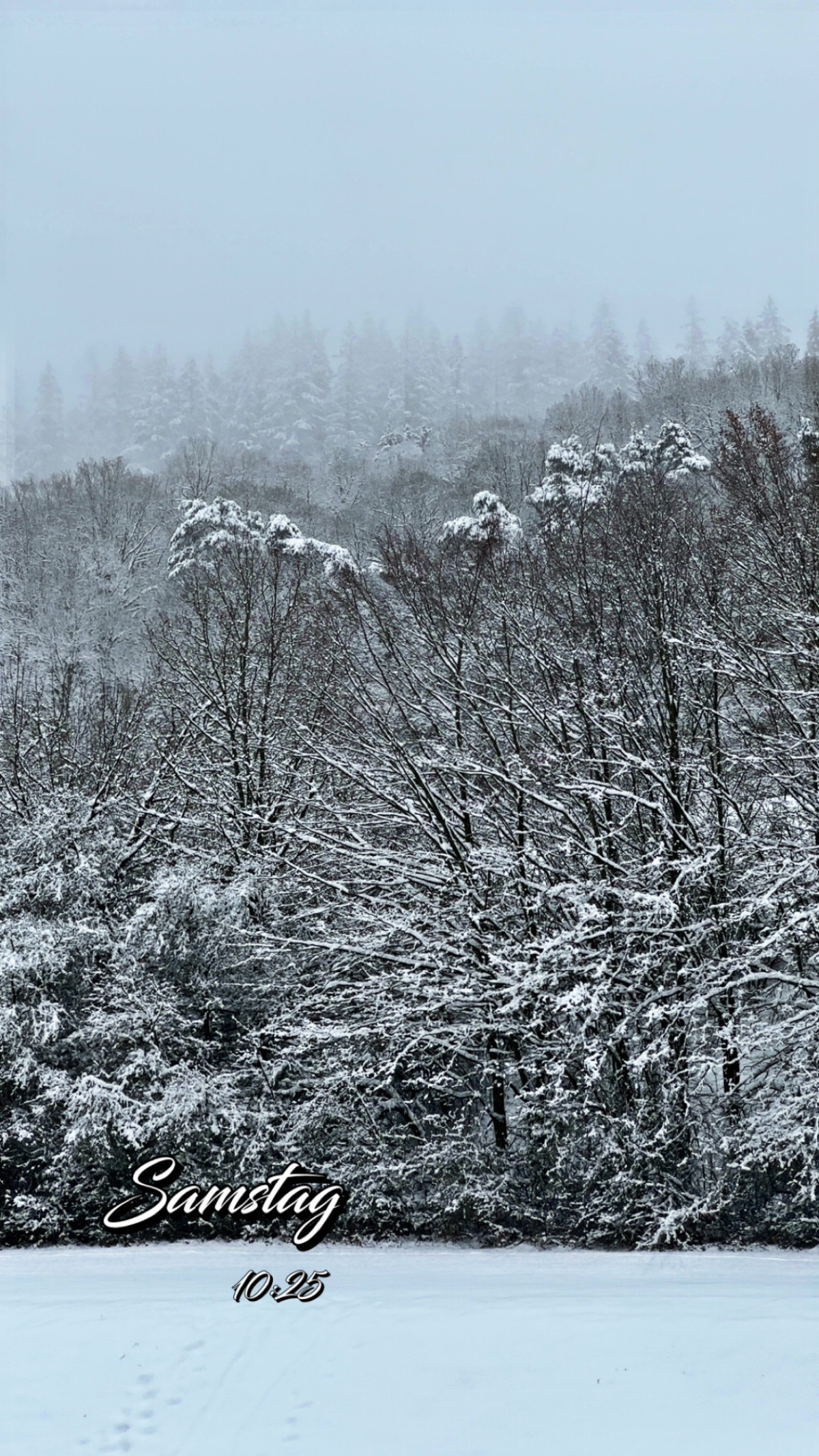 Parkland-Klinik am 31. Januar 2026