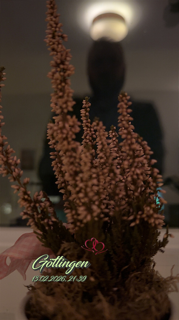 Geismar am 17. Februar 2026