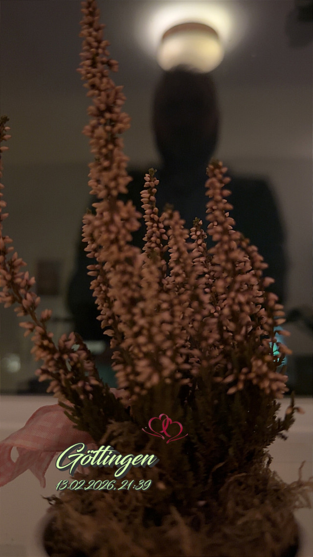 Geismar am 17. Februar 2026