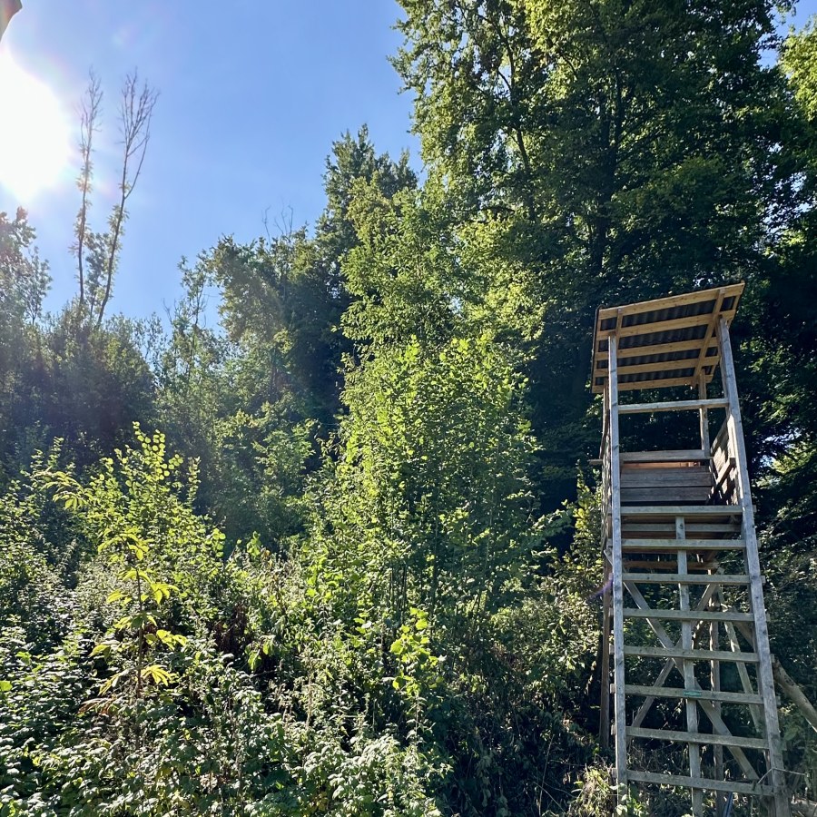 Das Premiummodell, was immer wieder gerne gekauft ist und ein Hingucker in jedem Wald!